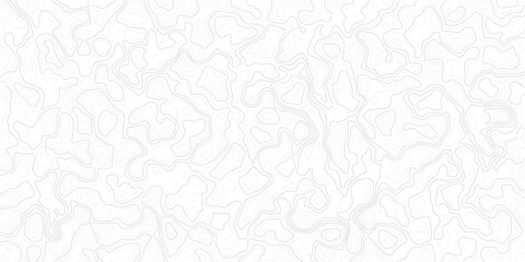 Fototapeta premium Gray topographic map contour lines on white background pattern
