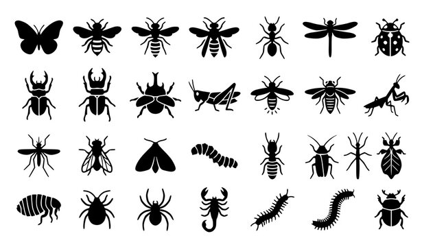 Bold Insect Silhouette Icon Pack with Flying Crawling and Garden Arthropod Symbols Black Vector on White Background