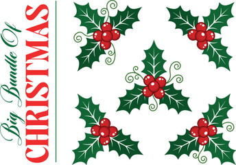 Christmas holly berry leaf vector elements pack. Traditional winter evergreen foliage and red holly berries clusters with decorative curly swirls isolated on white. © aysha
