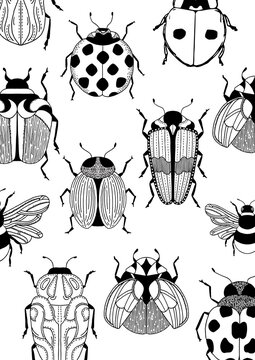 Cute insects and bugs collection coloring page for kids and adults