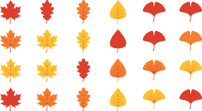Collection of autumn leaves vector illustration isolated on transparent background.
