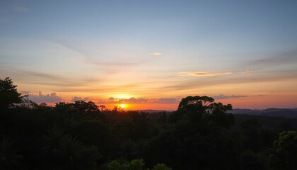 Fototapeta premium Soft horizon lights jungle edge