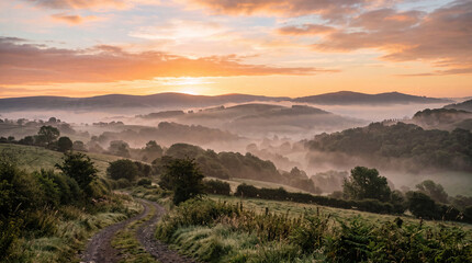 Obraz premium Serene landscape at dawn with mist rolling over lush hills and a tranquil path leading through the scenery