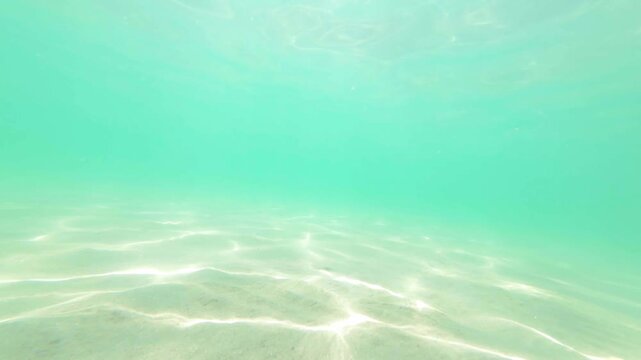 underwater footage of clear sea 