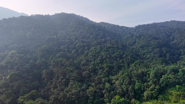 Aerial view captures mountain forests. Dense green canopy stretches across the terrain at Kampar