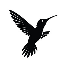Fototapeta premium Hummingbird silhouette vector illustration, hummingbird silhouette vector, hummingbird silhouette set, isolated hummingbird silhouette