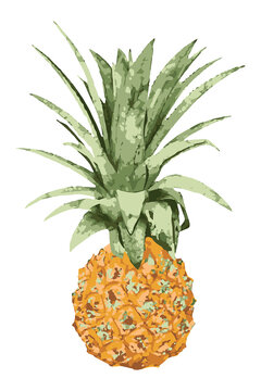 Vectorized pineapple sticker with white border