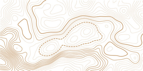 Abstract Topography line poster vector. The concept of a topographic contour geography scheme and the terrain path. White color topo  © MdNayebAli