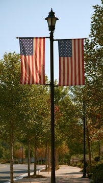 American flags hanging from a lamp post along a tree-lined street in a suburban area