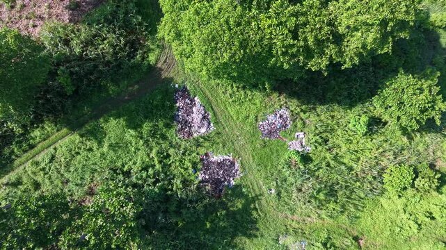Aerial view of greenery with scattered trash piles. Trees and grass surround littered patches