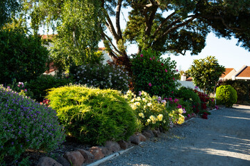 Obraz premium Lush garden landscaping with vibrant flowers and mature trees in sunlight