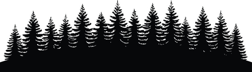 Silhouette of a dense forest of evergreen pine trees against © MDSHAHIN