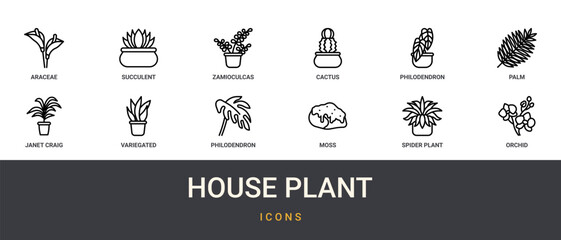Set of 12 outline web House Plant icons such as orchid, spider plant, moss, philodendron xanadu, variegated snake plant, janet craig, palm vector icons for report, presentation, diagram, web design, © Charlotte