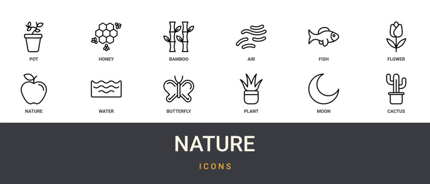 Set of 12 outline web Nature icons such as cactus, moon, plant, butterfly, water, from nature collection. Thin such as fruit, organic. for use on web and mobile apps, logo, print media., flower