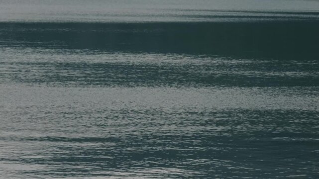 Lake Ripples