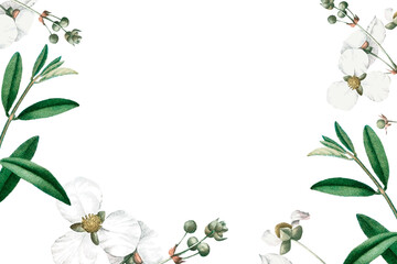 Fototapeta premium Flower png border, transparent background