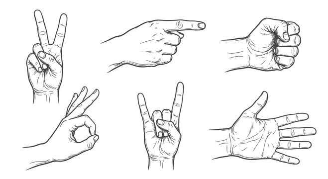 Collection of six hand-drawn human hand gestures in black line art style, featuring peace sign, pointing finger, clenched fist, OK symbol, rock horns, and open palm on white.