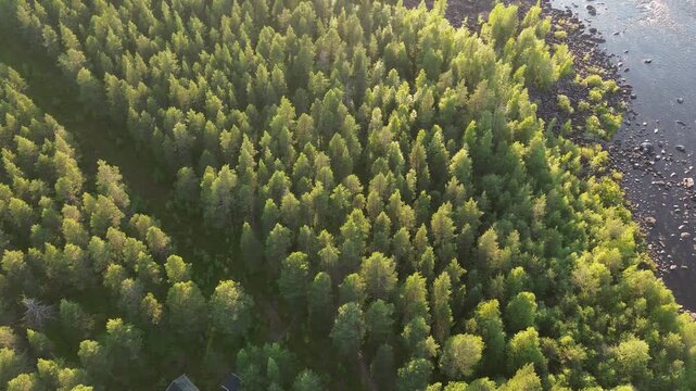 campsite in sweden in the forest next to a lake