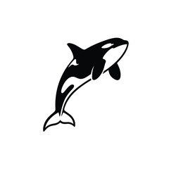 Naklejka premium Powerful black and white orca, or killer whale, leaps dynamically out of the water, depicted in a striking silhouette style.