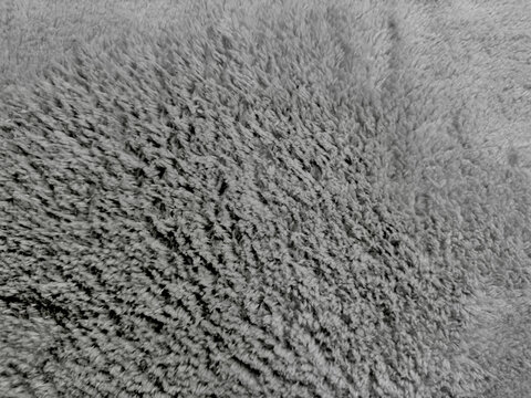 ultra plush shag rug texture macro closeup soft gray fiber weave cozy sustainable home wellness tactile surface detail