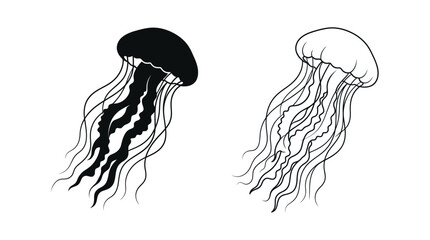 Jellyfish Silhouettes On White Background Linear Illustration © Fariaislam