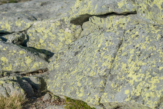 Green lichen on grey granite rocks, Serra da Estrela, Portugal