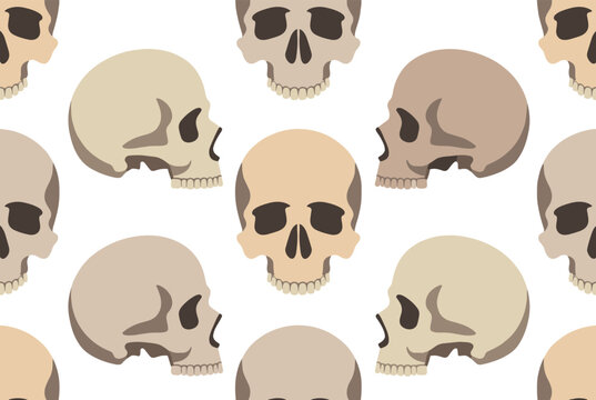 Seamless pattern of human skulls shown from frontal and side profile views in muted neutral beige color tones.