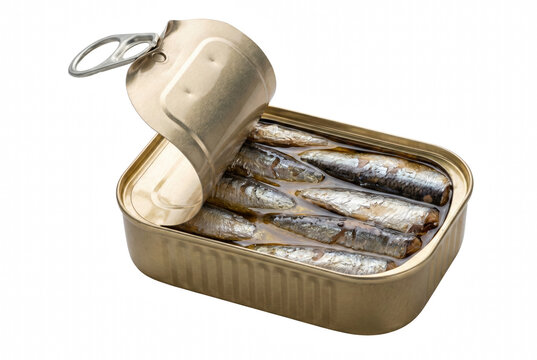 Opened Rectangular Tin of Sardines in Oil