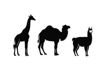 Fototapeta premium Giraffe Camel and Llama Silhouette Set Isolated on White