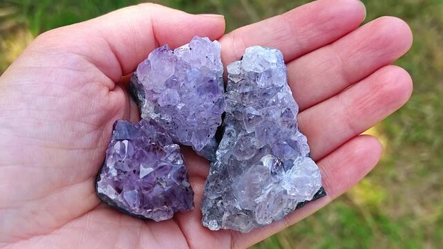 Natural mineral amethyst in hand. Semi-precious multi-colored stones, minerals close-up. Mineralogy. Co ection of minerals.