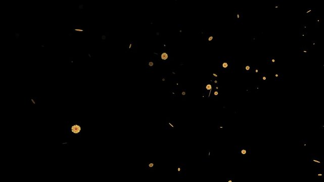 explosion of stars
explosion with alpha channel