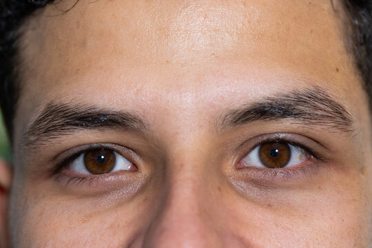 African American adult male gazing into camera in closeup, showing brown eyes, eyebrows, forehead