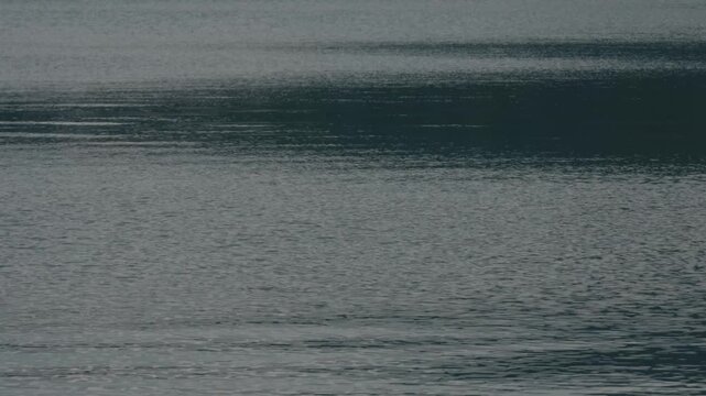 Lake Ripples