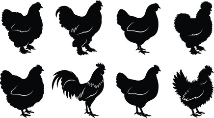 Chicken hen and rooster farm poultry breeds black silhouette vector icon set isolated on white background © MdMehedi