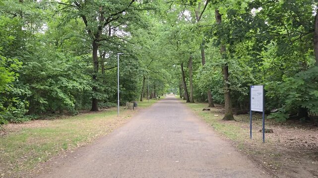 Forward movement on an idyllic nature path surrounded by tree and plants.