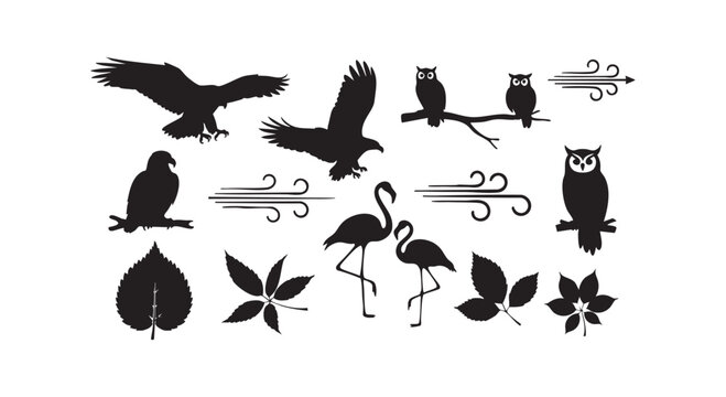 Set of bird silhouettes containing owls eagles flamingos wind gust elements and various autumn leaves for graphic design.