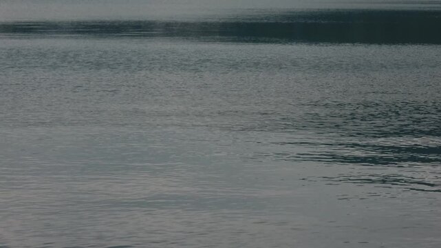 Lake Ripples
