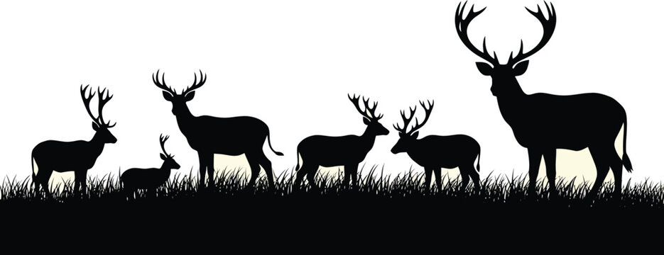Group of deer standing in tall grass field