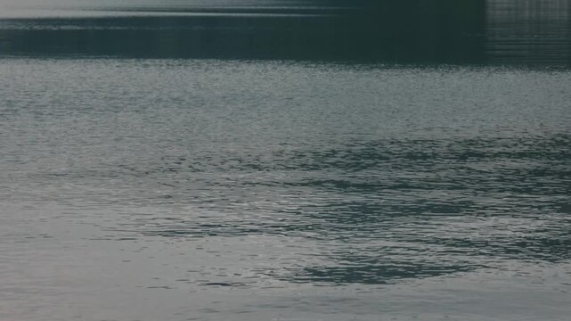 Lake Ripples