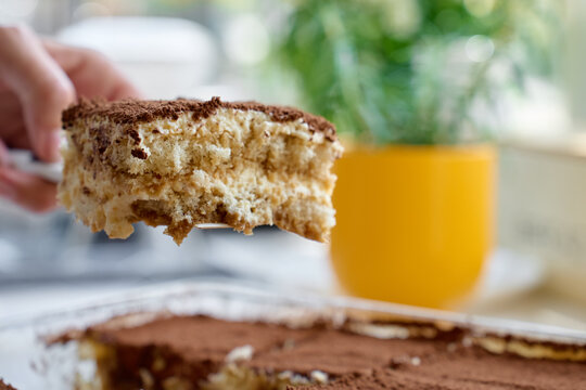 Tiramisu slice is served from glass dish with cocoa topping, cream layers and hand holding spatula