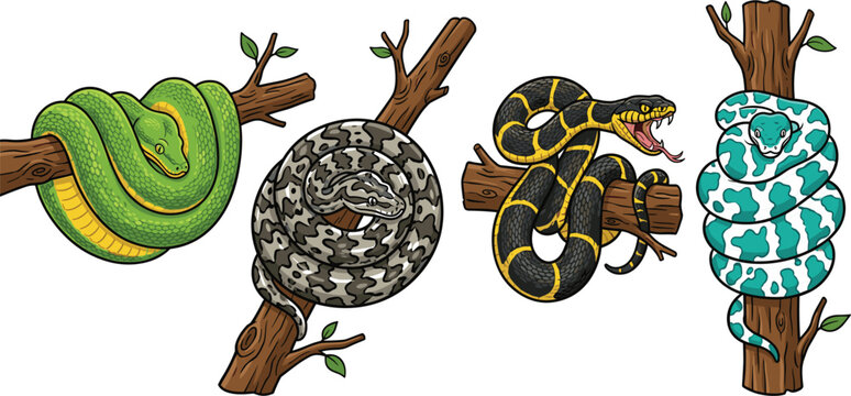 Exotic Snake Species Vector Illustration Set with Green Tree Python, Boa Constrictor, Viper, and Venomous Serpents Coiled on Branches for Wildlife Graphic Designs