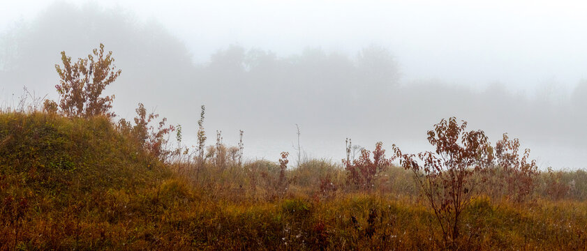 Foggy autumn hill with shrubs and trees against a blurred field background