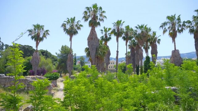 Ancient agora ruins in Kos, Greece, surrounded by lush greenery in slow motion 60fps
