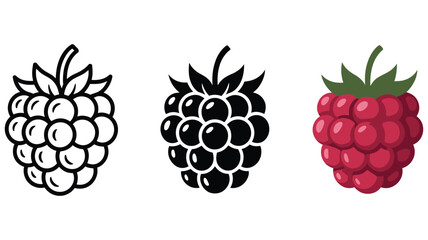 raspberry icon, ripe berry vector illustration, juicy fruit symbol, red sweet raspberry pictogram, healthy food and vitamin diet concept, fresh cranberry or currant berry sign for branding, packaging, © Rose