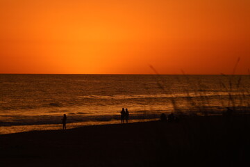 Fototapeta premium last sun