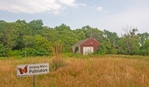 house on the hill