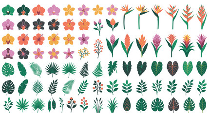 Tropical leaves and exotic flowers botanical garden set. © NAZMA