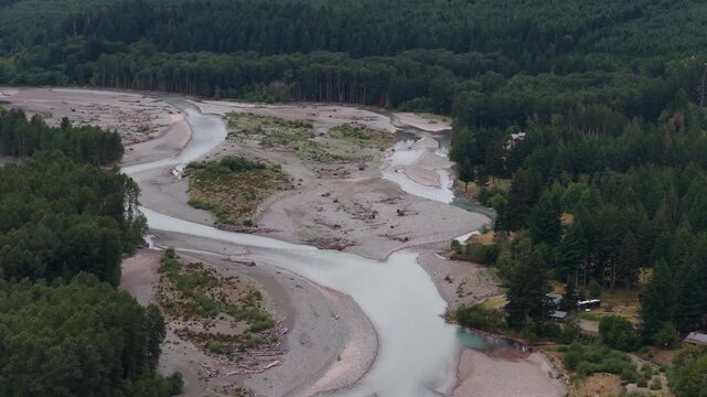 Aerial of milky blue Cowlitz river through forested floodplain in Packwood Washington with wide gravel bars and meandering channels