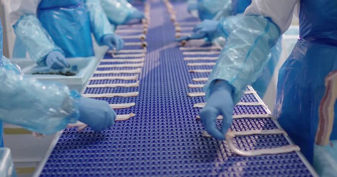 Workers in protective clothing placing bacon strips side by side on a blue conveyor belt in a food plant