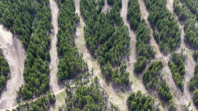 Seen from the sky during summer, ski trails meander through the forest on the slopes of Mt. Bachelor, Oregon. This iconic volcanic mountain is part of the Cascade Range and just 22 miles from Bend.